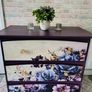 Chest of Drawers Image 7