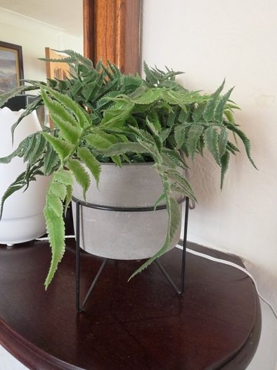 artificial indoor plant