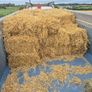 Square bales of hay and Straw Image 5