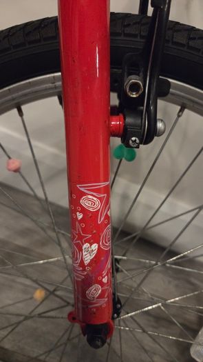 Apollo Envy 20 inch kids bike