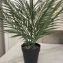 Artificial Plants Image 2