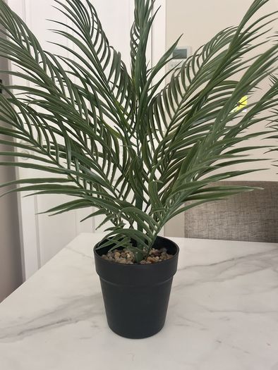 Artificial Plants
