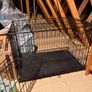XL Dog Crate Image 4