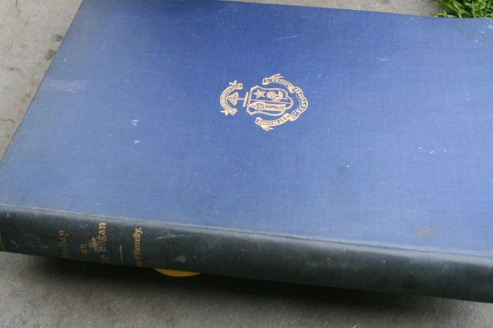 Agnes O'Farrelly Leabhar an Athar Eoghan, The O'Growney memorial Volume