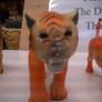 animals Image 5