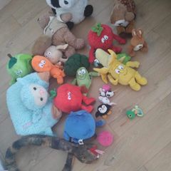 animal teddys