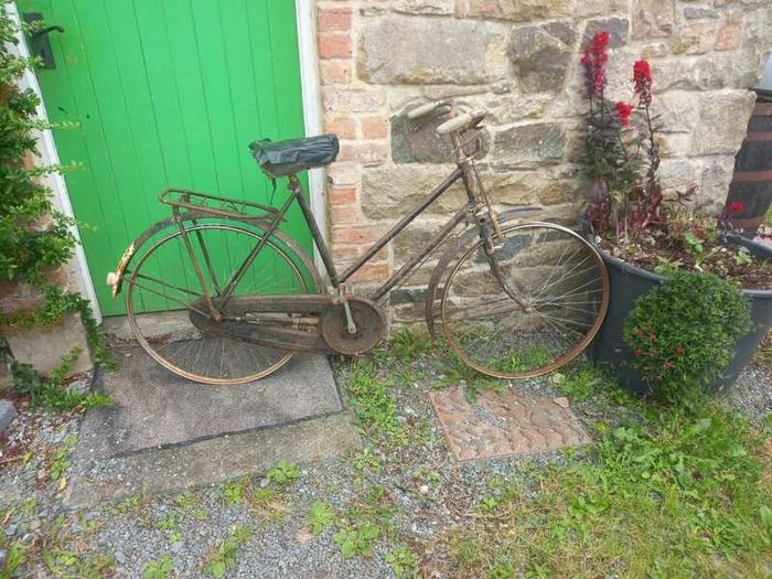 Vintage Bicycles
