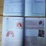 Timpeall an Domhain Rang 4 & Workbook. Image 2