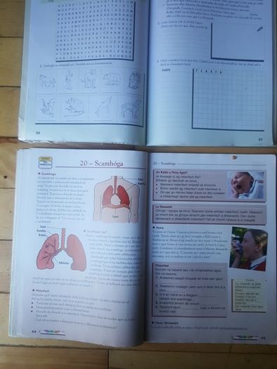 Timpeall an Domhain Rang 4 & Workbook.