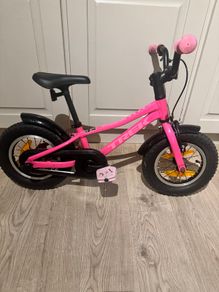Trek 12 inch