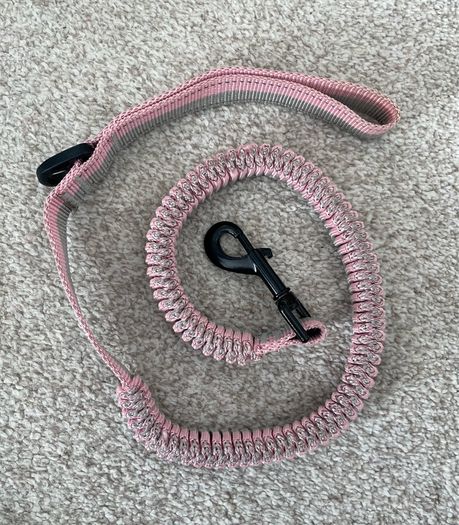 Puppy lead