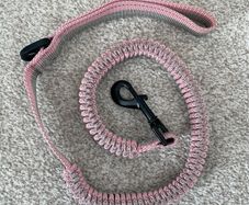 Puppy lead