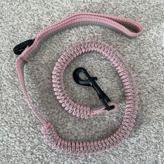 Puppy lead