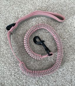 Puppy lead