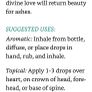 Manuka Essential Oil - Limited Edition Image 5