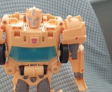 Transformer bumblebee