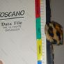 20 mth planner Image 2