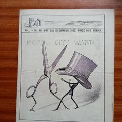 PAT - a scarce Dublin paper for 2 December 1882 memorabilia