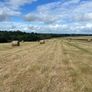 Hay round bales Image 5