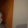 kitchen Image 9