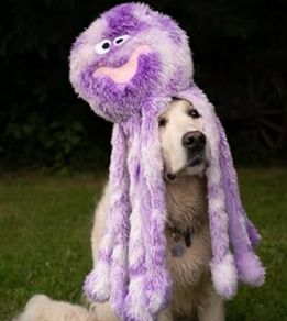 Like New: Large Dog Octopus Toy (60cm)