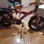 Perfect bike  hit Image 2
