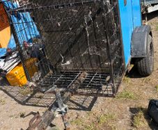 dog trailer