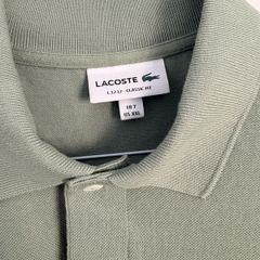Lacoste Polo XXL