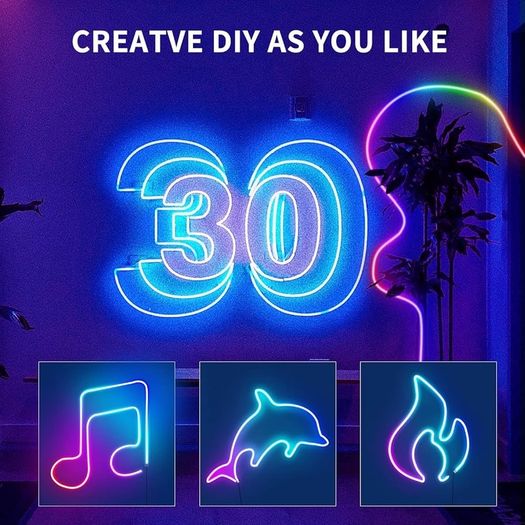 FREE EXPRESS SHIPPING Flexible LED neon Lights Strip 10M 24v RGB with Remote,APP Control, IP65 Waterproof for Bedroom,Room,Outdoors Decor
