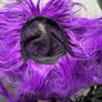 Kids Witches Hat and Wig Image 6