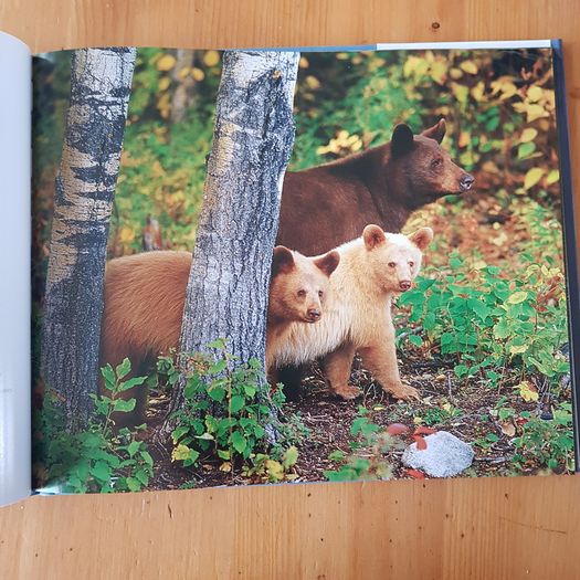 Photographic Book. Manitoba Seasons  In Beauty. Signed By The Author Robert R. Taylor. By R