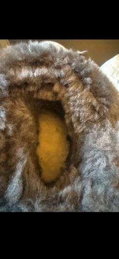 Women's Uggs