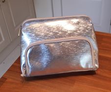 Metallic Make up bag Clinique