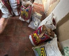 Free Wood + Bbq Grill, Must Go, Collection Only
