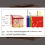 Infrared Sauna Image 5