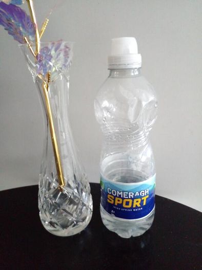 Cavan little crystal vase
