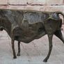 Abstract Picasso Inspired Bull - Bronze, Signed Image 5