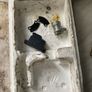 classic piranha motorcycle ignition kit Image 8
