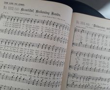 BOOK - Vintage  - Sacred Songs & Solos - Sankey
