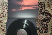 Joji: Piss In The Wind  LP