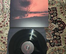 Joji: Piss In The Wind  LP