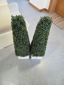 plant pots