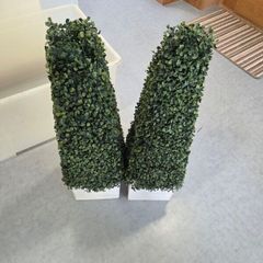 plant pots