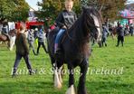 grazing for horses
