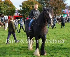 grazing for horses