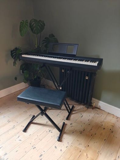 Yamaha P-45 Digital Piano
