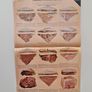 Vintage 1960s Sunday Times June 29 1969 The Damned Visconti cover British magazines collectable retro adverts advertising The Times Eve Arnold Image 7