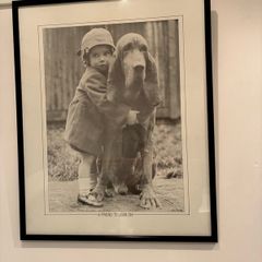 Framed Print