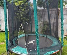 Garden Trampoline