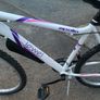 mountain Bike Image 5
